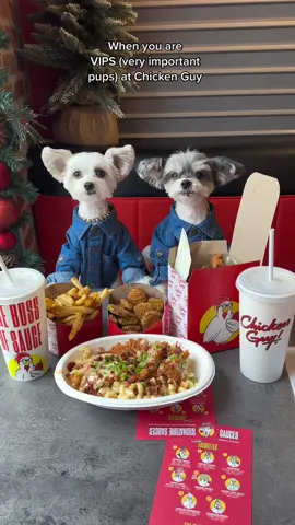 chicken guy is our passion @Experience Kissimmee #mykissimmee #dogsoftiktok #chickenguy #foodies #dogswhothinktheyrehumans #fyp 