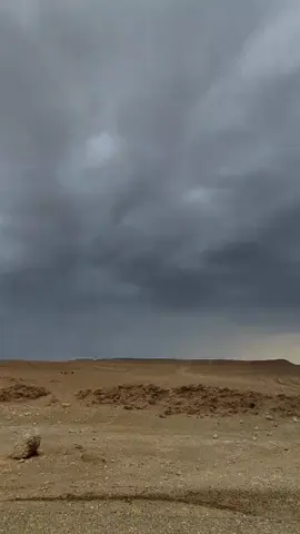 #حديثه#الانبار #العراق#حايل#الشته#مطر#شعر#الازد#الغساسنه #🤍 #🌨️ #صحراء #البر 