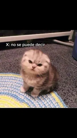 #greenscreen Lo ví aquí en Tiktok jsjsjjs #humor 