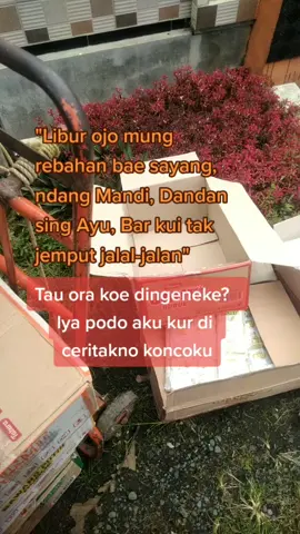 yo panggah semangat maszeehh.... #santan #taburagentinusantara #taburahmmantap #jawatengah #jowostory #jowopride #jowo #cilacap #santan #fyp #fypシ #fypage #fypシ゚viral #beranda #viralvideo #fyp #FL #FLKS #flks #flksyaguys🥰biarrame🥰 #flksyaguys🥰biarrame🥰 #flks 