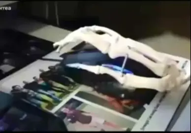 #fyp #fypシ #funnymemes #funny #fy #meme #undead #skeleton 