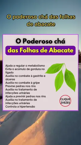 #cha #folha #abacate #folhadeabacateiro 