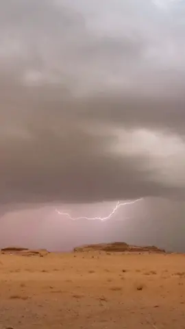 يالله بغيث مبكرة تباشيره #اكسبلور #أمطار #تبوك #حقل #الزيته #بجده #مكشات_وناسة_بر #explor #LetsGoalJetour #foryou #