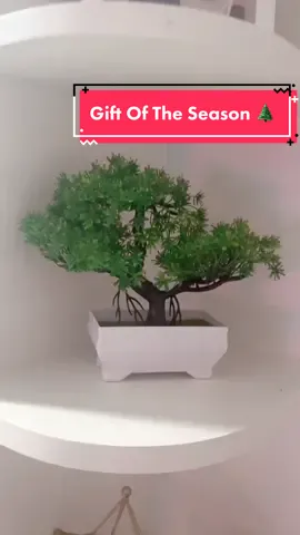 🪴The perfect gift as we bloom into the holiday season 🪷 Get yours on sale today! #plantok #bonsai #bonsaitree #fakeplant #artificialplants #mini #indoorplants #decoration #decor #faketree #gift