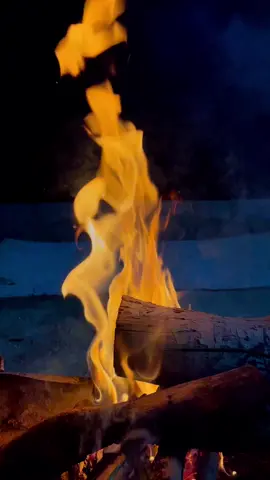 ونيست حتى  السوالف الله يجيرك  #tiktok #الشتاء🎻🎼 