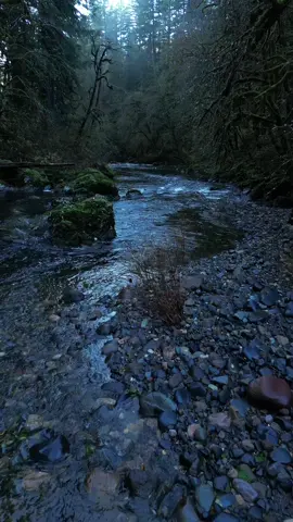 Moody winter river vibes 🙏🏻😌  #river #winter #peaceful #god #nature #oregonlife #pnwdiscovered 