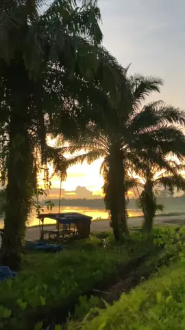 Kasih caption dong😅 #fyp #qoutes #galau #kaurumahku #fypシ #Inhu #senja #airmolek 