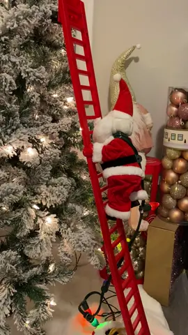 Worth the $$$ #target #santa #christmas #santaclimbingladder #jinglebells #feliznavidad #fyp #happyholidays 
