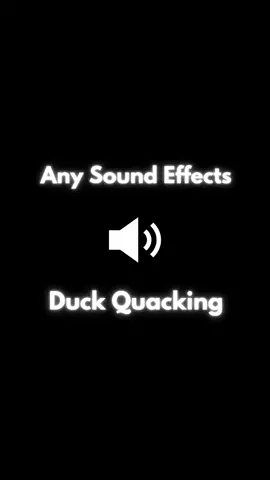 Sound Effect - Duck Quacking #anysoundeffects #soundeffects #duck #duckquack #duckquacking 