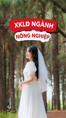 Xuất khẩu lao động ngành nông nghiệp ở Nhật Bản #LearnOnTikTok #master2022bytiktok #duhocsinh #xuatkhaulaodongnhatban #nhatban #duhocnhat #vtmgr 