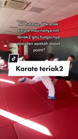 #stitch with @Karate Techniques 