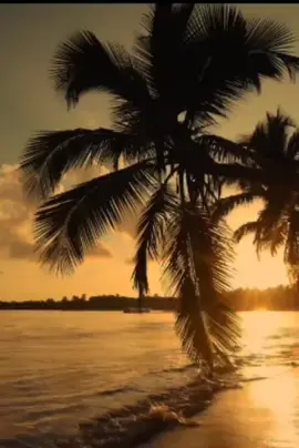 sebuah lagu baru drpd kumpulan Handy Black untuk hiburan sahabat semua😉✌️semoga terhibur yea🙏😊#handyblack #seirasbayangdanmentari #layanjiwang #fypage #fyp #fypmalaysia🇲🇾 #fypdongggggggg  🙏😊✌️