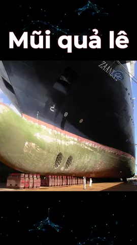 Mũi quả lê #bietthemmotchut #LearnOnTikTok #kienthuc #dcgr