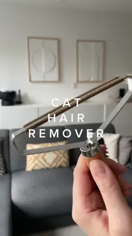 this pet hair remover is a musthave if you have a cat! 😻🫶🏼✨ #CleanTok #cleaning #cat #pethairremoval #organizing #organizedhome #satisfying #asmr #foryou 