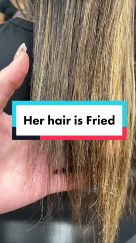 K18 is amazing but if your hair is this damaged, It needs to be cut off! ✂️ #fyp #hairtok #hairstylistsoftiktok #bocaratonhairstylist 