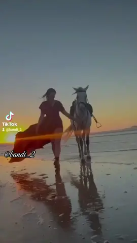 #bandi_2 #elarrebato #mirandopati #estásoyyo😉 #62años😉 #malaga #ejército_verde💚💚 #sigueme 