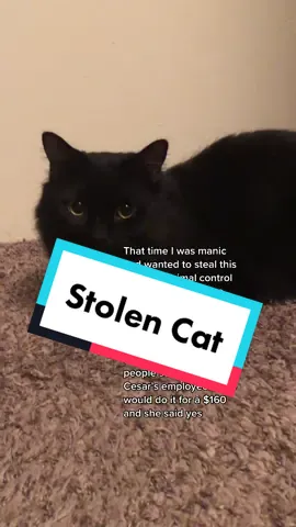 For legal reasons this is a made up funny story