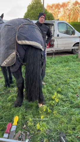 #samdracottfarrier #oddlysatisfying #asmr #LearnOnTikTok #satisfying #horsesoftiktok #horses #horseriding 