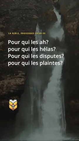 La Bible. Proverbes 23:29-35 