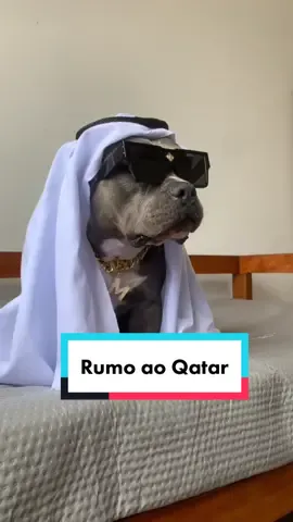 Rumo ao Qatar 🇧🇷🇶🇦 #maoriblue #humorpet