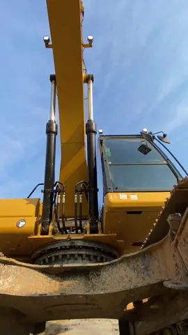 #caterpillar 