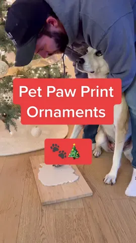Because our pets don’t live nearly long enough #christmastok #christmascountdown #ornamentsdiy  
