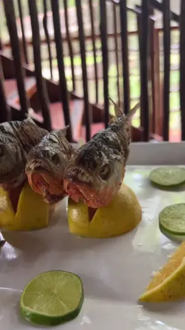 Eating fried Piranhas in the #amazon #travelblogger #peru 