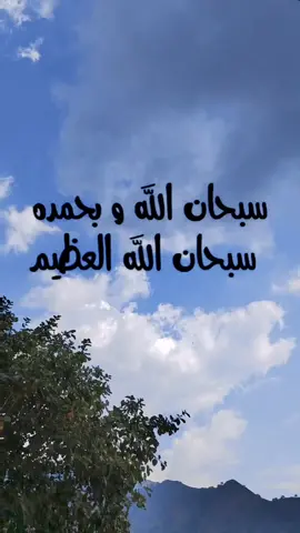 #سبحان_الله_وبحمده_سبحان_الله_العظيم #لاتنسى_ذكر_الله #اذكار_الصباح 