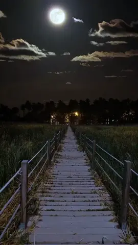 ôi tự dưng nay buồn quá 🥺🥺.#fyp #scenery #foryou #view #fypシ #sad #foryoupage #amazing
