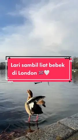 Akhirnya salah satu wish ku bisa lari pagi di luar negeri kesampean 🥹 Jogging pagi di #KensingtonGardens #London cantik banget 🥰 🏃🏻‍♀️ Be grateful each day ❤️  #morningrun #jogging #workout #olahraga #fyp #goodmorning #grateful 