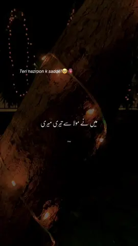 Teri nazroon k sadqy! 🥹🫀 #aestheticvroo #foryou #ruposh #ruposhost #terinazroonksadky #lovesongs 