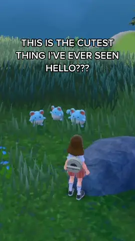 i love them so much bro #pokemonscarletviolet #pokemon 