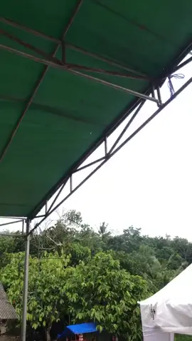 #amandamusik #sikokbagiduoremix #fyp #remiklampung