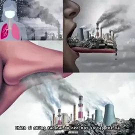 Các biện pháp cải thiện, bảo vệ môi trường khí#Cacstruong #greenenvironment #LearnOnTikTok #xh #fyp #fypシ #xuhuong 