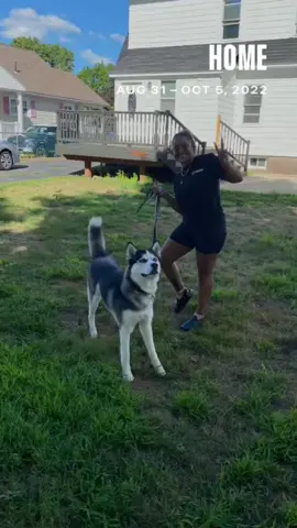 First time home owners! #homeimprovement  #firsttimehomebuyer #crazymarket #homeimprovements #azul #husky 