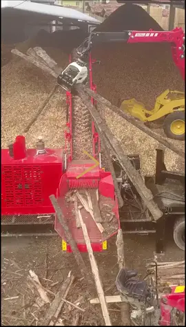 Resultado do sucesso! #lippelpicadores #picadores #picadoresflorestais