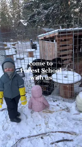 #forestschool #outdoorschool #wildschooling #natureschool  #waldorf 