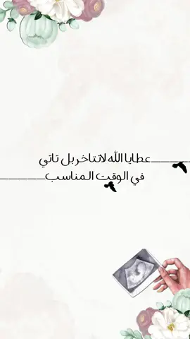 بشاره حمل #مونتاج_مليحه #حمل 