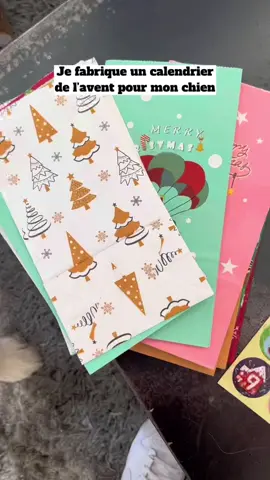 Moi on m’a jamais fait ça 🤣 #goldenretriever #fyp #pourtoi #foryou 