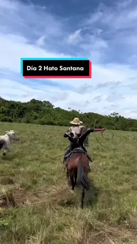 Si quieren que suba más vídeos sobre mi vista al hato Santana, háganmelo saber en los comentarios.   Así vivimos la mañana del día 2 en las caballiciadas de hato santa organizadas por @5TIERRAS   #llanero #vaqueria #turismo #caballos #ganaderia 