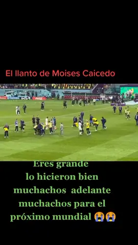 #mundialqatar2022 #eliminatoriasqatar2022 #ecuadorlomejor 