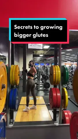 3-week progress check 🤌🏻 #gymbody #girlswholift #FitTok #fyp #Fitness #glutes #bodybuilding #workout #leggings #foryou #fitnesstiktok #gyminspo #fitnessmotivation  @Alphalete Athletics 