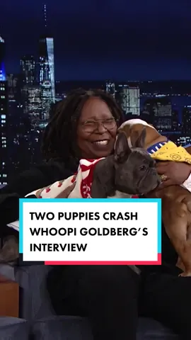 Two puppies crash @Whoopi Goldberg’s interview and model her new holiday sweaters! #FallonTonight 