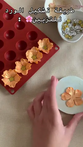 الورد للزيين ❤️🫶🏻 #gateauxalgeriens #gateux_sur_commande #gateuxmodern #حلوياتجزائرية🇩🇿🇩🇿🇩🇿 #حلوياتتقليدية_عصرية_جزائرية #🇩🇿🇹🇳🇲🇦