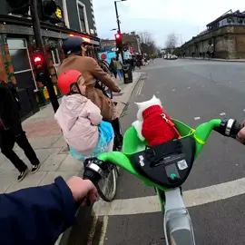 Making friends. 🐱 . . . #gatos #michis #kissa #pishi #kot #kit #chat #kedi #katze #gatto #katt #貓 #ネコ #고양이 #kucing #cats #cat #catlife #pets #catoftheday #sigrid #norwegianforestcat #london #cyclinglife #cyclingphotos 