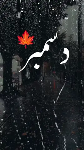 𝗪𝗲𝗹𝗰𝗼𝗺𝗲 𝗗𝗲𝗰𝗲𝗺𝗯𝗲𝗿 🍁 #december #دسمبر #نومبر #دسمبر_لوٹ_آیا_ہے #sohail_silent #sohailsilent #سہیل_سائیلنٹ 
