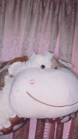 Did you know CHOCOLATE was apart of our scented collection? #scentedpillows #❤️pillowpets 