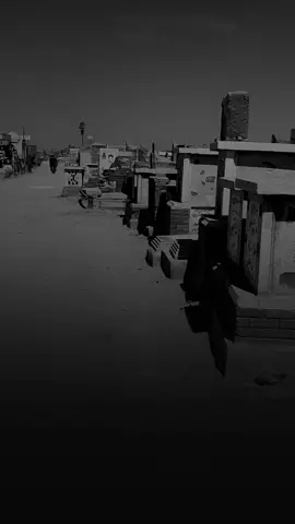 جيتك يل بلكلب جيتك 💔☘️ #قوافي_الشعر قناه تلكرام بيها الفيديوهات بل بايو #سمير_صبيح 