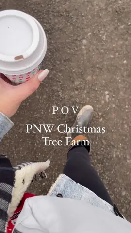 Christmas tree farm is giving twilight #twilightvibes #christmastrees #pnw #pnwvibes 