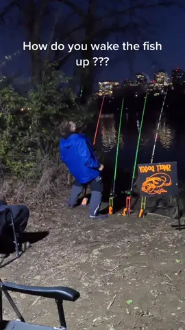 How do you wake the fish up ??? #sweetdoggy #fishtok #foryoupage #fyp #hazfam #bigfishenergy 